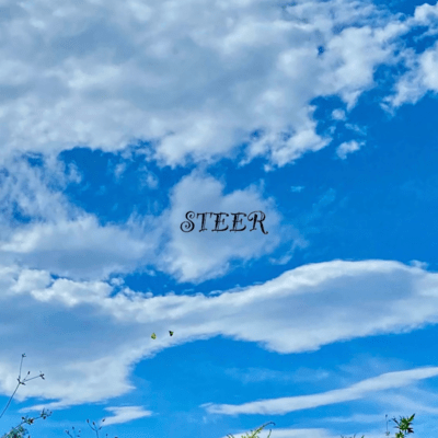 STEER Front Cover