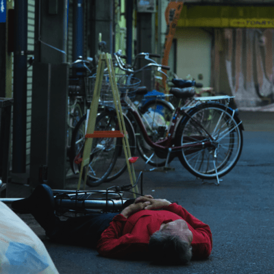 Flowers blooming at midnight Front Cover