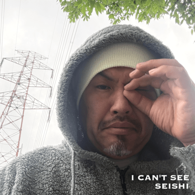 I Can't See Front Cover