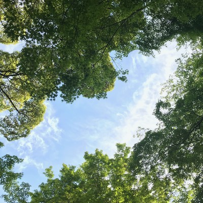 形見 (feat. 宮木公香 & 吉田真由香)のジャケット写真