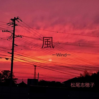 風のジャケット写真