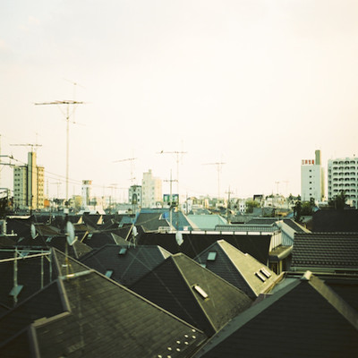 Mammal In Love (feat. Taro Kawahara) Front Cover