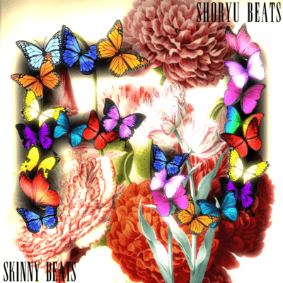 butterfly effect Front Cover