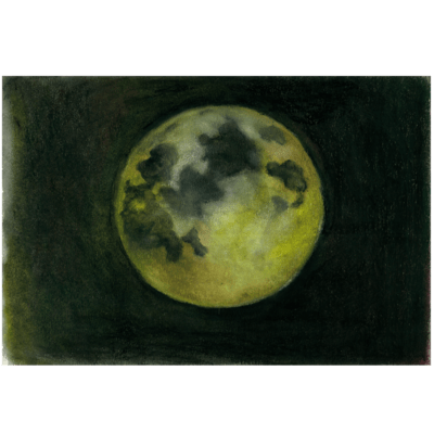 see the moon Front Cover