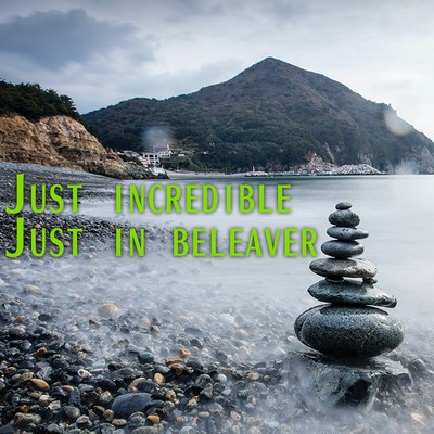 just incredible Front Cover