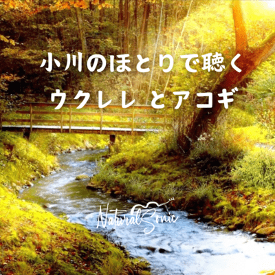 Ukulele and acoustic guitar by the stream Front Cover