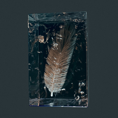 crow Front Cover