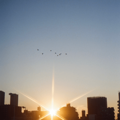 Swallow (feat. sakurako)のジャケット写真