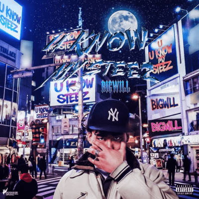 U Know My Steezのジャケット写真