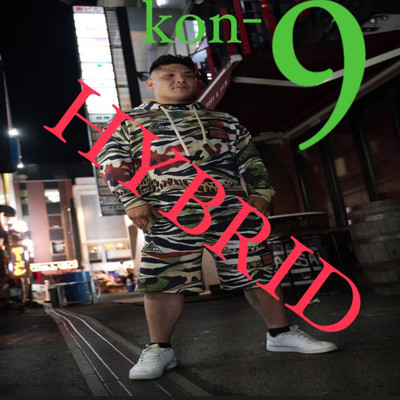 HYBRIDのジャケット写真