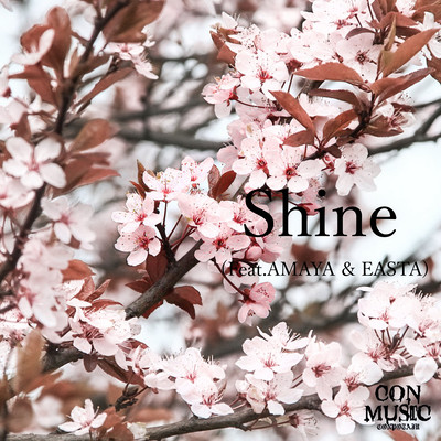 Shine (feat. AMAYA & EASTA) Front Cover