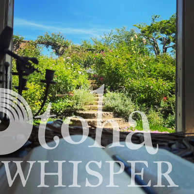 whisperのジャケット写真