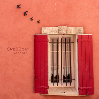 Swallow Front Cover