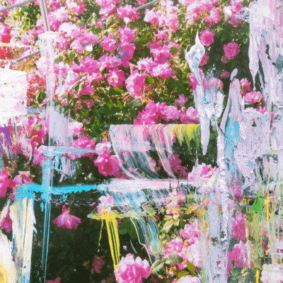 in my dreamのジャケット写真