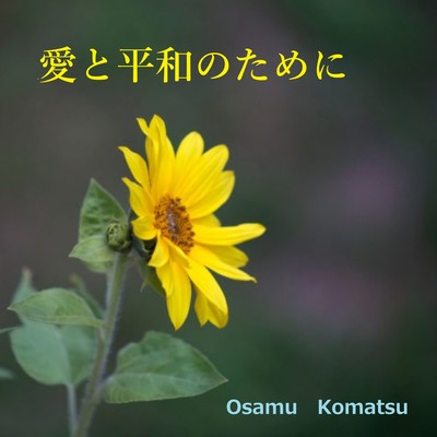 For Love & Peace Front Cover