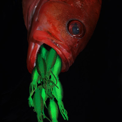 FEED / shobo Front Cover