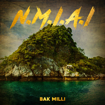 N.M.I.A.I Front Cover