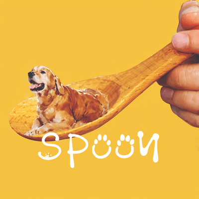 SPOON Front Cover