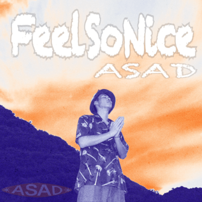 Feel So Nice Front Cover