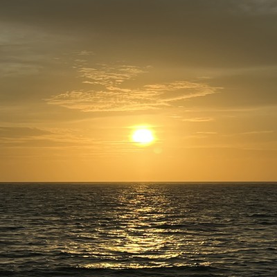 Evening Primrose Letter (feat. KAGAMINE LEN & KAGAMINE RIN) Front Cover