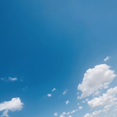 めのジャケット写真