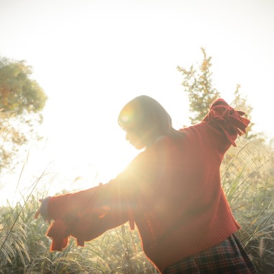 The galaxy dances Front Cover