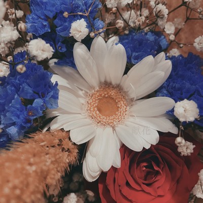 Flower offering Front Cover