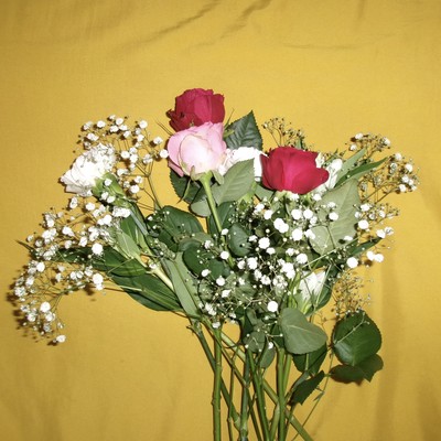 proposal Front Cover