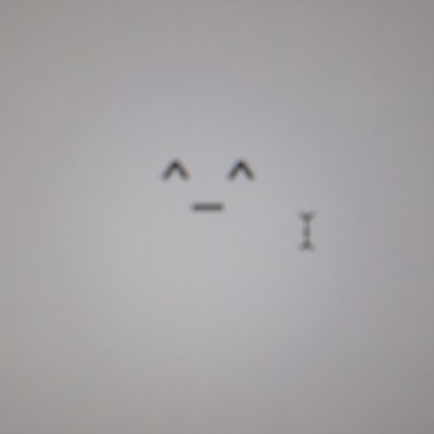 なんてねのジャケット写真