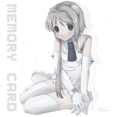 MEMORY CARD Front Cover
