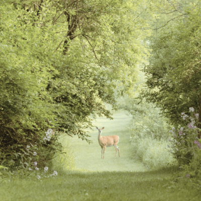 Cinematic Pianoのジャケット写真