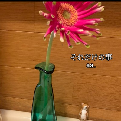 soredakenokoto Front Cover