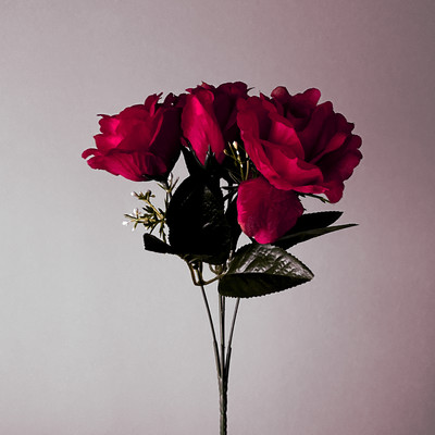 ガーデンのジャケット写真