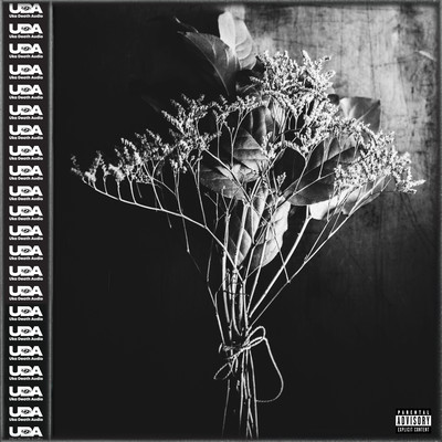 秋風のジャケット写真