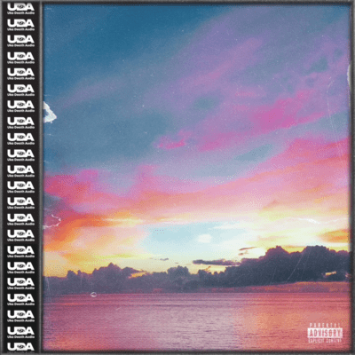 Mimosa Front Cover