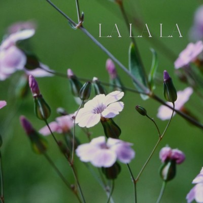 LA LA LA (feat. Mew & CYBER DIVA) Front Cover