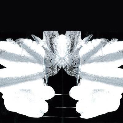 此処何処?のジャケット写真