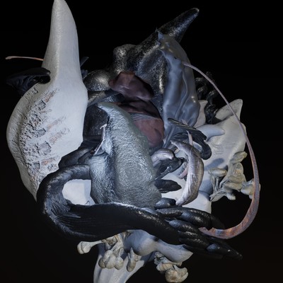 白ノ鬼のジャケット写真