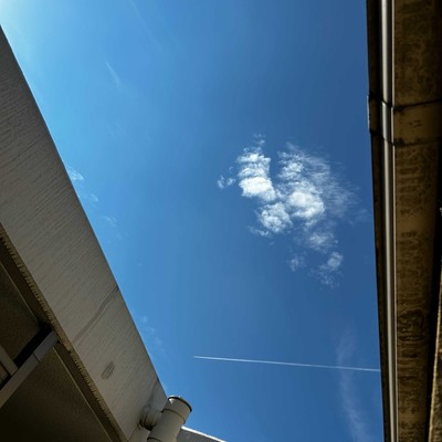 Living my lifeのジャケット写真