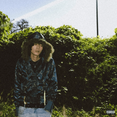 2017のジャケット写真