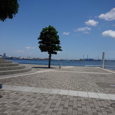 海とアルペジオ (2000/5/14ver.)のジャケット写真