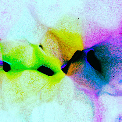 やさしい怪獣のジャケット写真