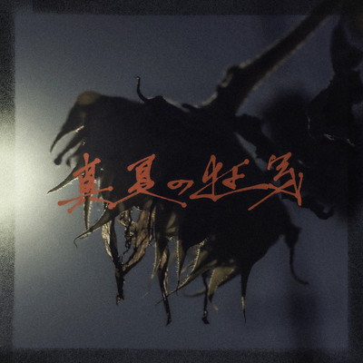 Midsummer Madness Front Cover