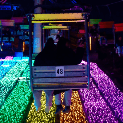 HONTOUのジャケット写真