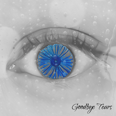 Goodbye tears Front Cover
