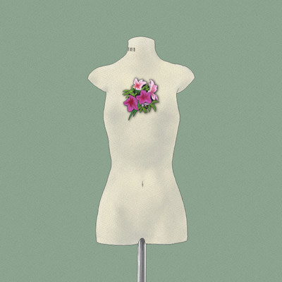 ストレンジラブのジャケット写真