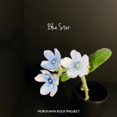 Blue Star Front Cover