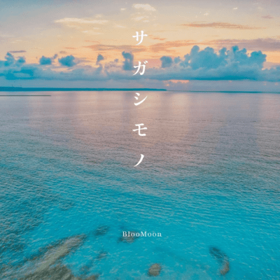 SAGASHIMONO Front Cover