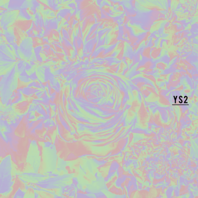 YS2 Front Cover