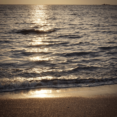 Fake Cure Front Cover